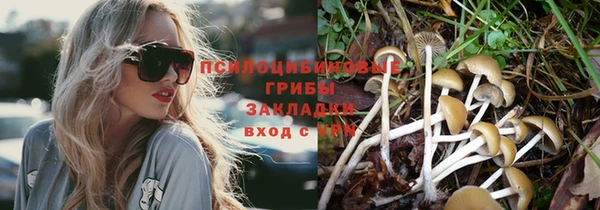 стаф Заволжье