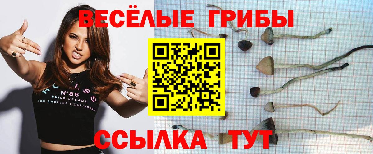 Псилоцибиновые грибы GOLDEN TEACHER Радужный